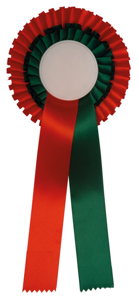 R2.01 rozet 2-rings diverse kleuren 105x300 