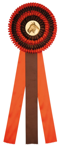 R4.01 Rozet 4-rings diverse kleuren 155x395 