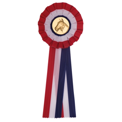 R6.01 Kampioen Nederland 135x330