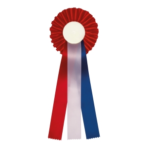 R12 Kampioens rozet klein diverse kleuren 105x250