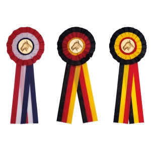 R6. Kampioen rozet NL-BE-DU  
